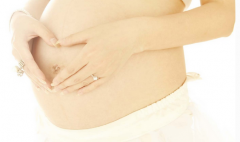 �ҹ����в�������ռ���������12%����