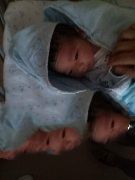 lesbian�Թ��齨������ͥ