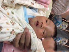 ʮ��������������