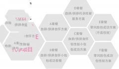 ���ݴ���������Թܿ���˫̥��